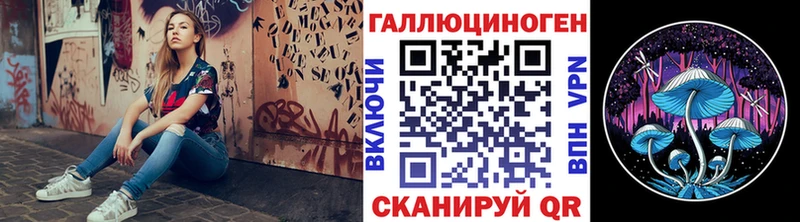 Галлюциногенные грибы Psilocybine cubensis  мега ONION  Светлоград  сколько стоит 