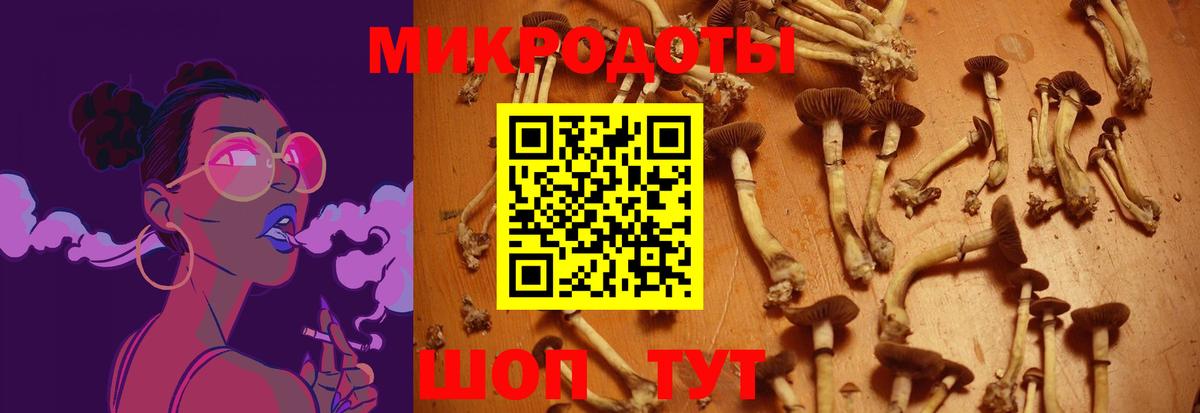 где купить наркоту  Галлюциногенные грибы MAGIC MUSHROOMS  Светлоград  Вход с VPN  Галлюциногенные грибы Magic Shrooms 
